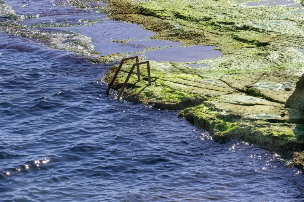 Thin greenish film coating the lower section of a submerged pool wall