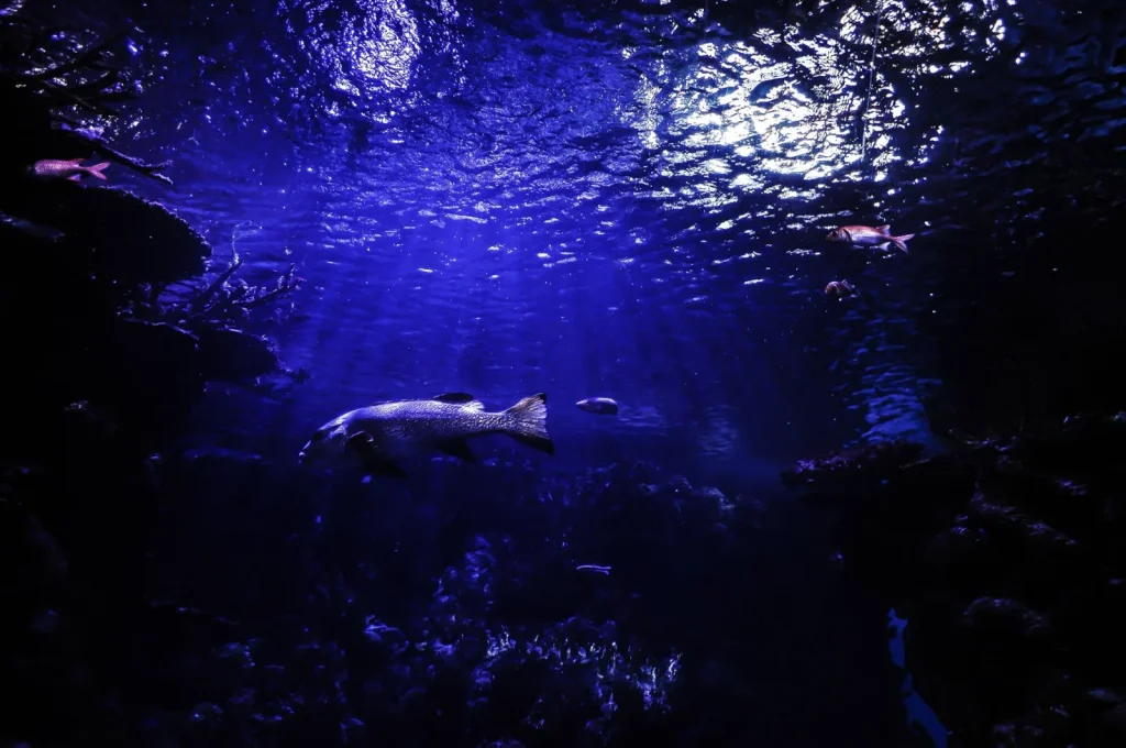 Underwater view of a pool return jet releasing a stream of filtered water