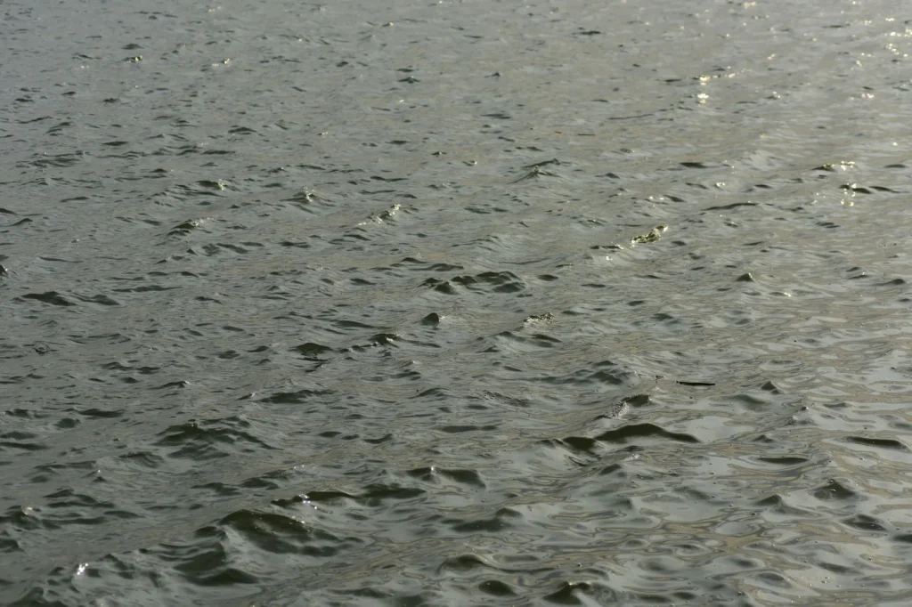Sunlit ripples spreading across the surface of a calm swimming pool